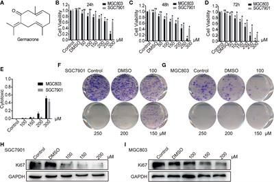 Frontiers Germacrone Regulates Hbxip Mediated Cell Cycle Apoptosis